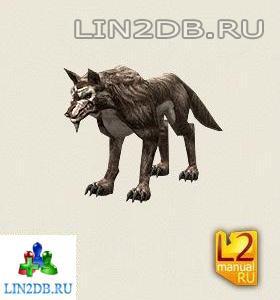 Волк | Wolf
