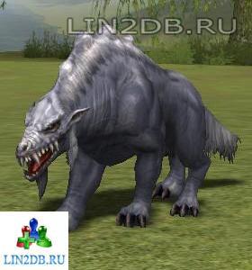 Большая Крыса | Giant rat