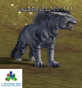 Белый Тигр-Вожак | White Tiger Matriarch