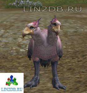 Подросший Детеныш Кукабарры | Improved Baby Kookaburra