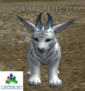 Подросший Детеныш Кугуара | Improved Baby Cougar