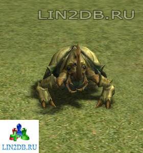 Могильный Жук | Beetle of Grave