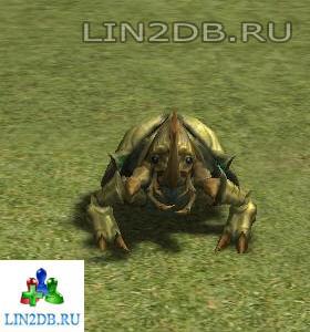 Могильный Жук | Beetle of Grave