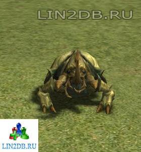 Могильный Жук | Beetle of Grave