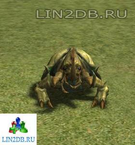 Могильный Жук | Beetle of Grave