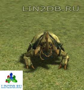 Могильный Жук | Beetle of Grave