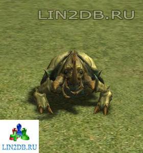 Могильный Жук | Beetle of Grave