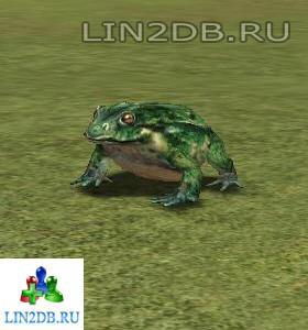 Пойманная Лягушка | Caught Frog