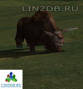 Горный Буйвол | Adult Buffalo