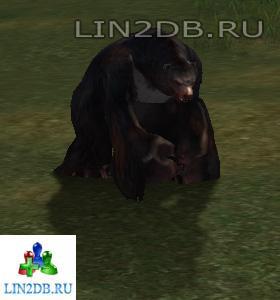 Горный Грендель | Adult Grendel