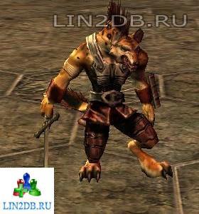 Легионер Гноллов | Ol Mahum Legionnaire