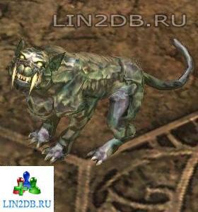 Зеркальная Кошка | Androscorpio