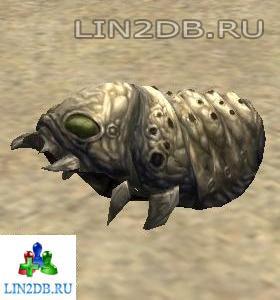 Личинка Муравья | Ant Larva