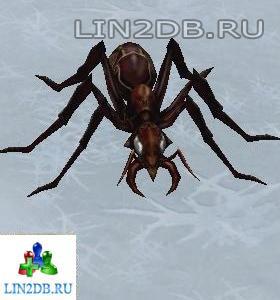Вожак Муравьев | Ant Captain