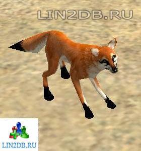 Молодой Лис | Young Fox