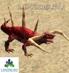 Старшая Саламандра | Salamander Elder
