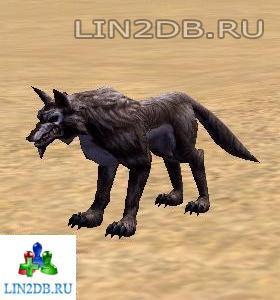 Волк | Wolf