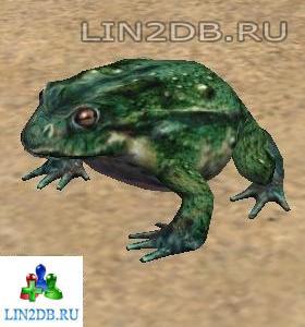 Гигантская Жаба | Giant Toad