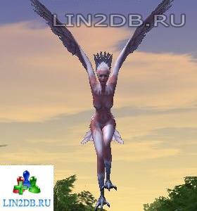 Гарпия | Harpy
