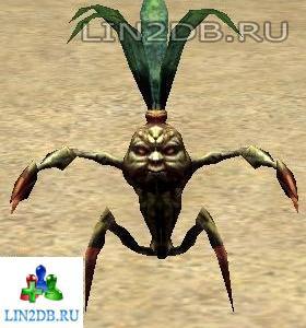 Росток Мандрагоры | Mandragora Sprout