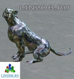 Пума | Puma