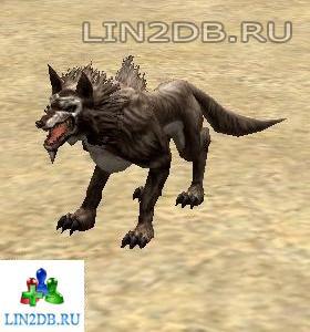 Жуткий Волк | Dire Wolf