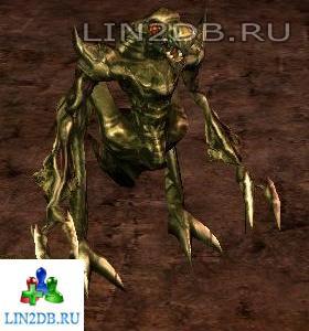 Валидус | Validus