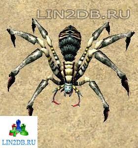 Болотный Паук | Marsh Spider