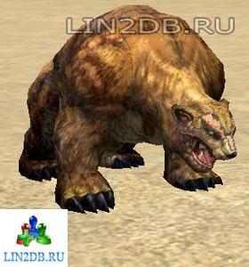 Бурый Медведь | Brown Bear