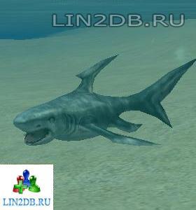 Большая Белая Акула | Great White Shark
