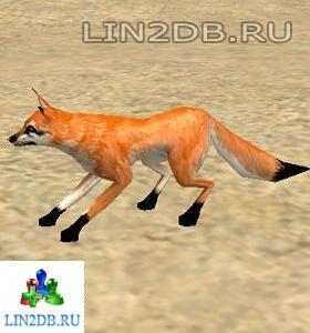 Молодой Багровый Лис | Young Crimson Fox