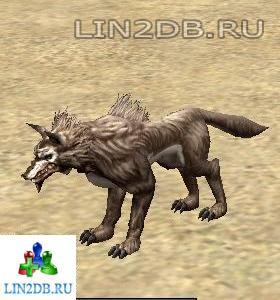 Гончая Турек | Turek War Hound