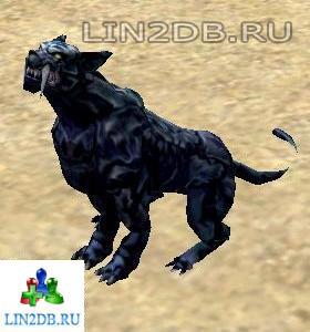 Пума | Puma