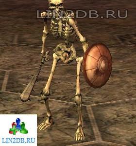 Скелет Пехотинец | Skeleton Infantryman