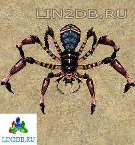 Паук Трисалим | Trisalim Spider