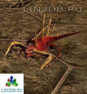 Саламандра Ровин | Salamander Rowin