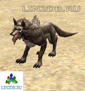 Гончая Халлета | Hound Dog of Hallate