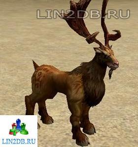 Вожак Золотых Оленей | Golden Stag Lord