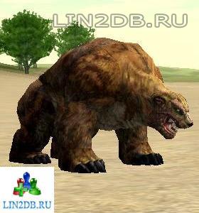 Бурый Медведь Хату | Hatu Brown Bear
