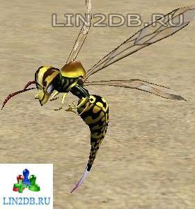 Рабочая Оса | Wasp Worker