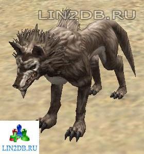 Жуткий Волк Кхаши | Kasha Dire Wolf