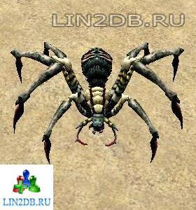 Северный Тримден | Northern Trimden