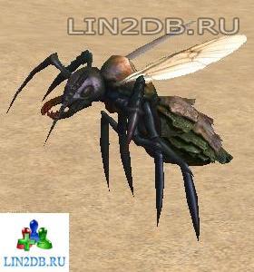 Элитный Пещерный Муравей | Cave Noble Ant
