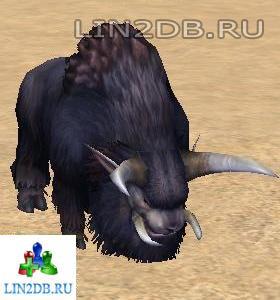 Буйвол | Buffalo