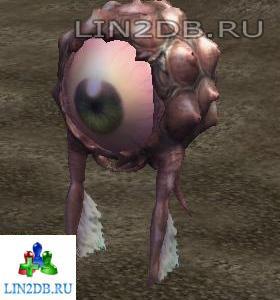 Глаз Проводника | Eye of Guide
