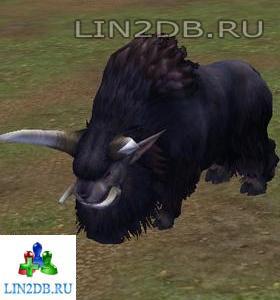 Буйвол Горячих Источников | Hot Springs Buffalo