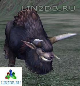 Луговой Буйвол | Grazing Buffalo