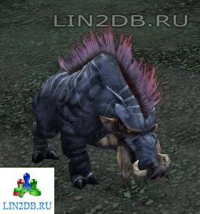 Луговой Вепрь | Grazing Windsus