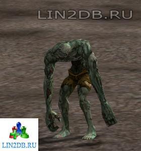 Жук Убийца | Assassin Beetle