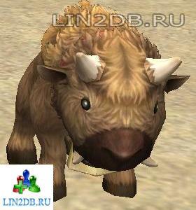Горный Буйвол | Alpine Buffalo